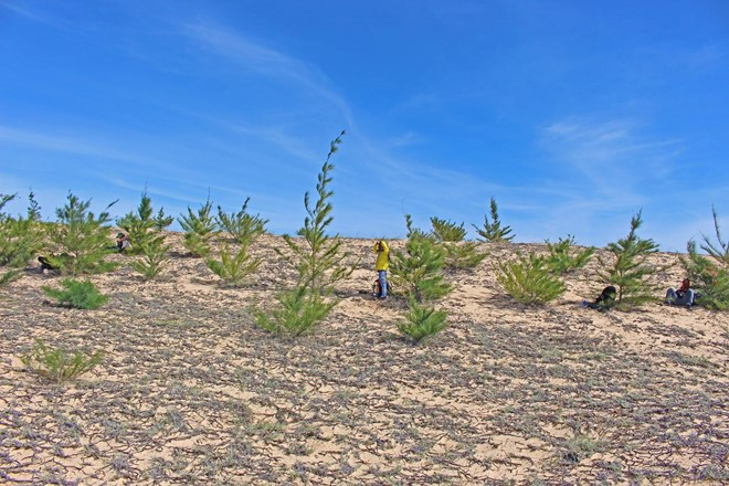 Cung đường chinh phục sa mạc cát lớn nhất Việt Nam ảnh 15 cung duong chinh phuc sa mac cat lon nhat viet nam