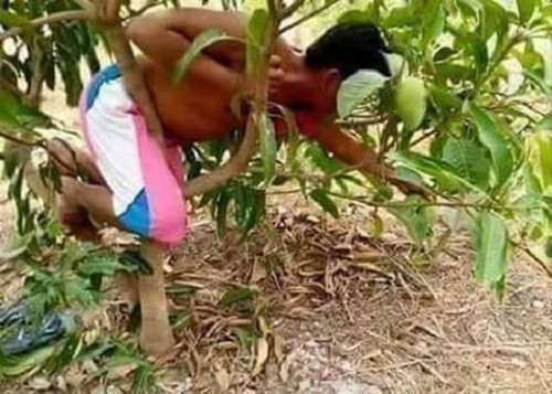 nhung sang che ba dao nhat he mat troi