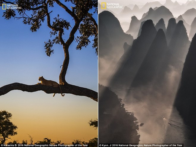 the gioi ky vi qua anh du thi cua national geographic