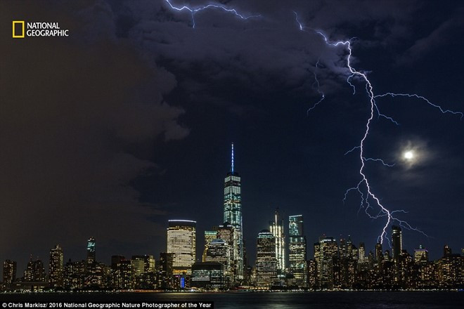 the gioi ky vi qua anh du thi cua national geographic