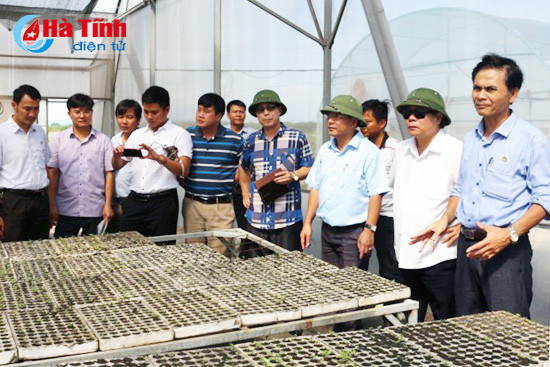 doan cong tac quang ninh an tuong voi ket qua xay dung ntm o ha tinh