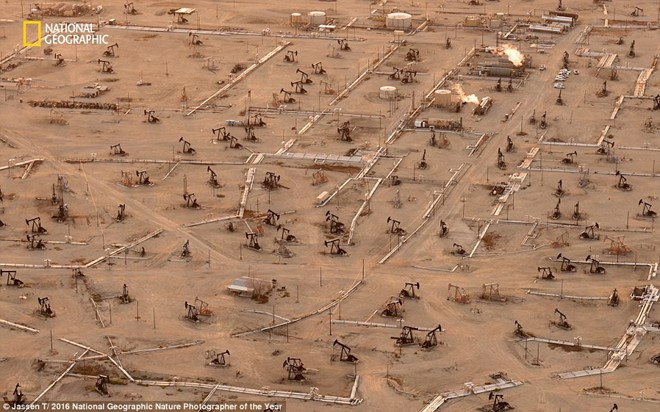 the gioi ky vi qua anh du thi cua national geographic