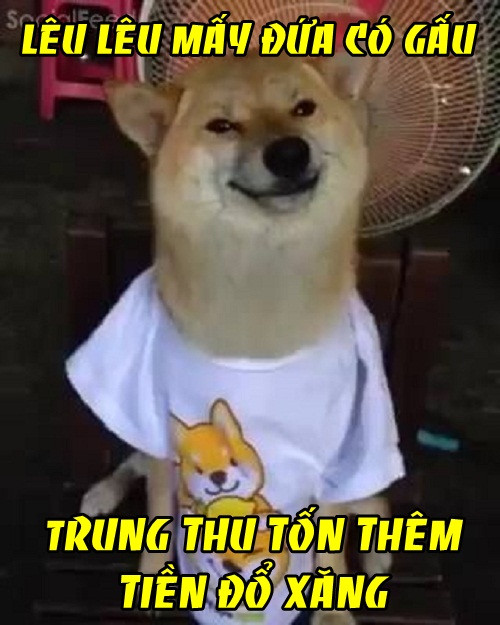 anh che gia xang tiep tuc tang 700 dong