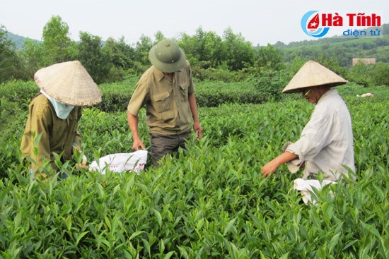 xay dung ha tang don bay phat trien vung thuong ky anh