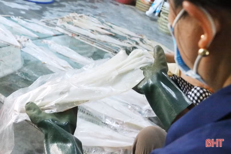 Đặc sản mực một nắng Hà Tĩnh làm “xiêu” lòng khách