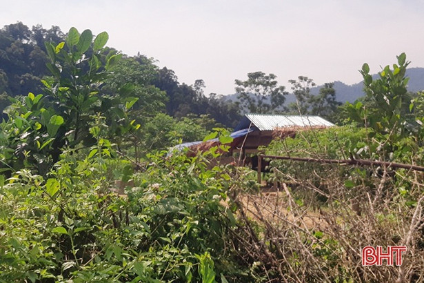 “Lén lút” dựng 4 lán trại trái phép trong Vườn Quốc gia Vũ Quang