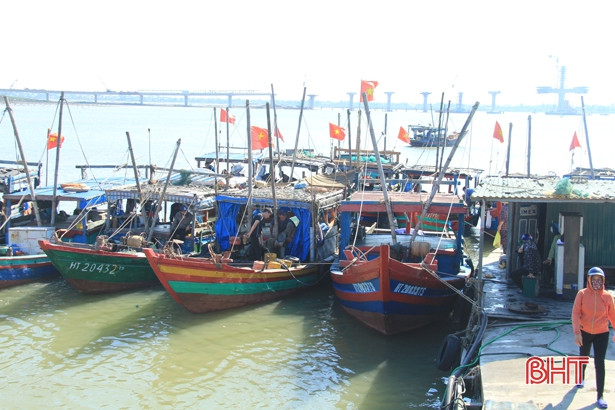 Mực được mùa được giá, ngư dân cửa biển Hà Tĩnh vui như hội