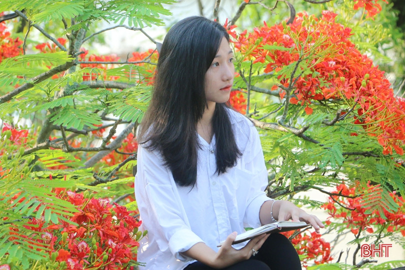 Tuổi học trò xao xuyến mùa phượng đỏ