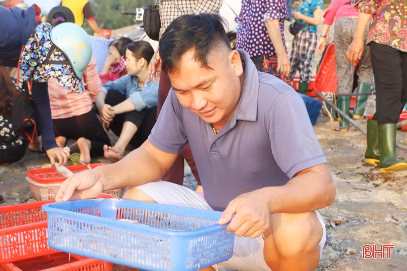 Về Hà Tĩnh “soi đèn” đi chợ cá, ngắm bình minh