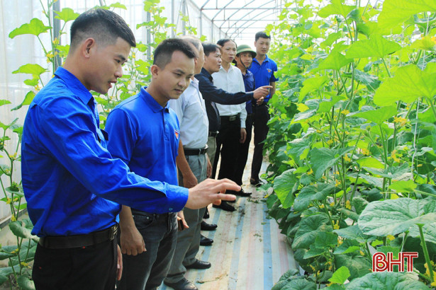 Mô hình kinh tế thanh niên thu nhập 300 triệu đồng/năm ở Nghi Xuân