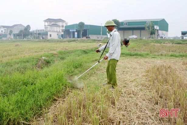 Nông dân Hà Tĩnh thu rơm, dọn ruộng, khởi động sớm vụ hè thu