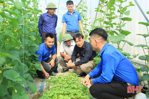 Mô hình kinh tế thanh niên thu nhập 300 triệu đồng/năm ở Nghi Xuân