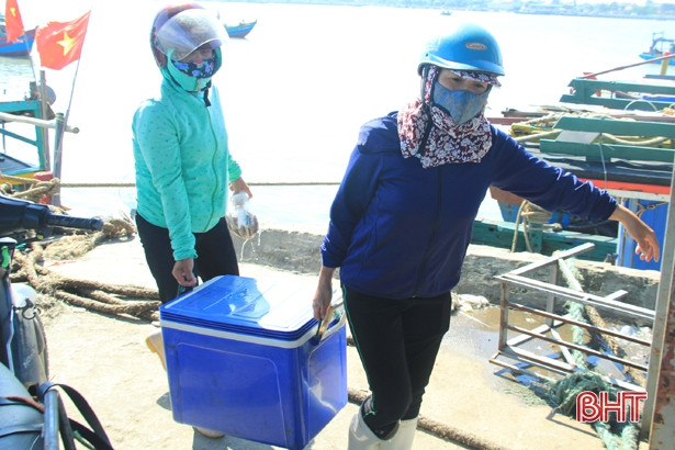 Mực được mùa được giá, ngư dân cửa biển Hà Tĩnh vui như hội