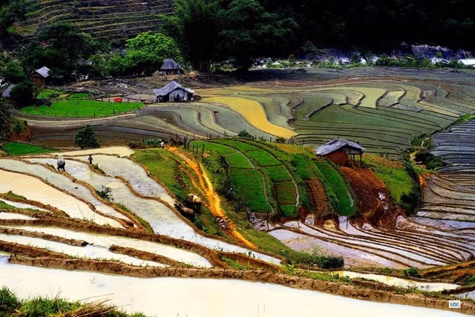 Tháng 5 đắm say vẻ đẹp Y Tý mùa nước đổ