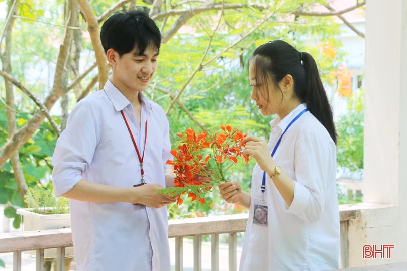 Tuổi học trò xao xuyến mùa phượng đỏ