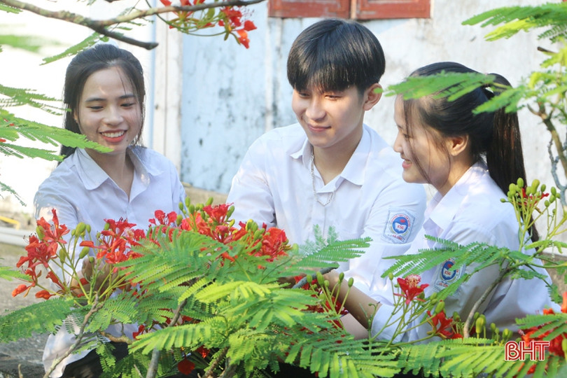 Tuổi học trò xao xuyến mùa phượng đỏ