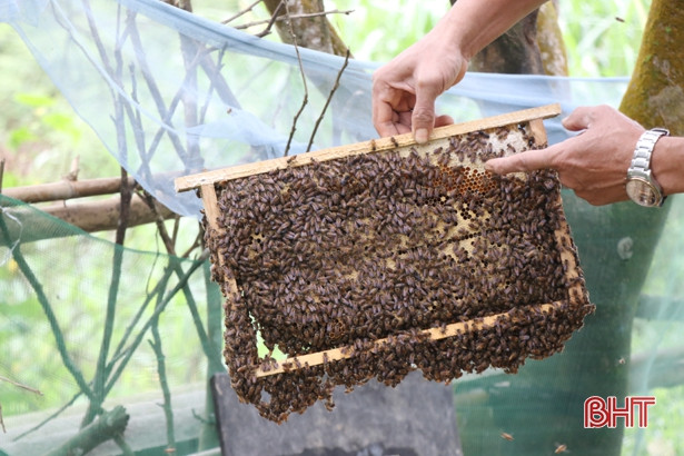Can Lộc phấn đấu xây dựng 10 sản phẩm OCOP năm 2020