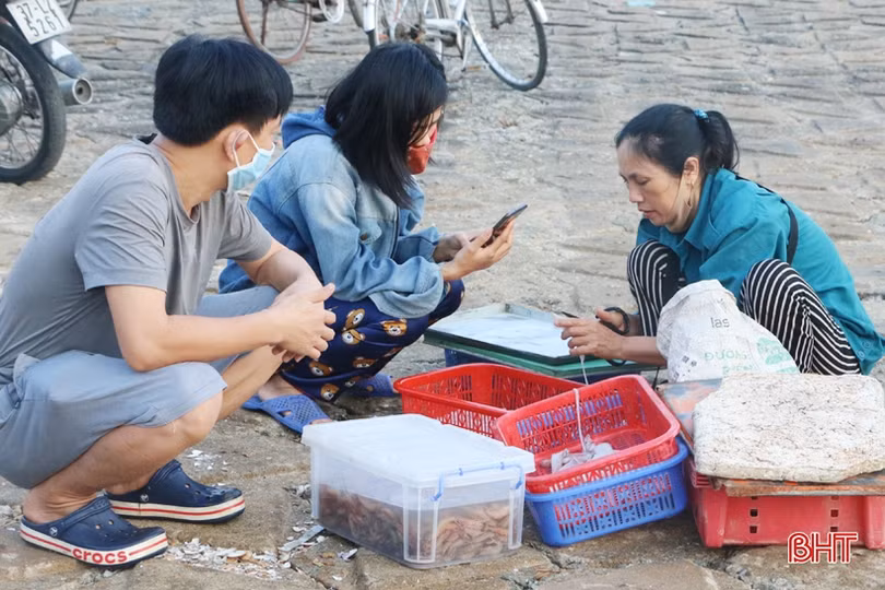 Về Hà Tĩnh “soi đèn” đi chợ cá, ngắm bình minh