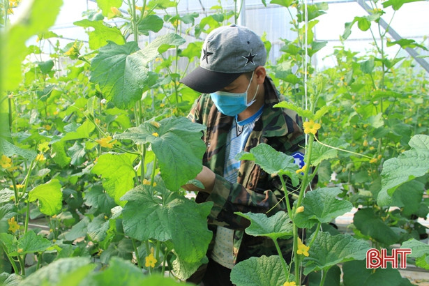 Mô hình kinh tế thanh niên thu nhập 300 triệu đồng/năm ở Nghi Xuân