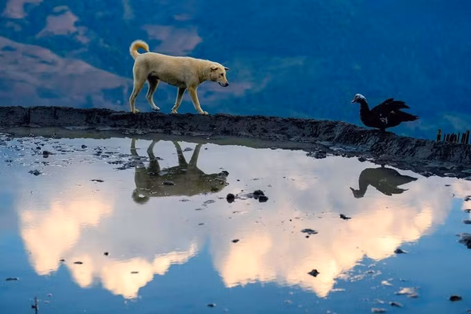 Tháng 5 đắm say vẻ đẹp Y Tý mùa nước đổ