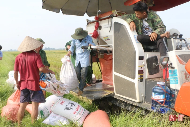 Nông dân Hà Tĩnh vào mùa gặt…