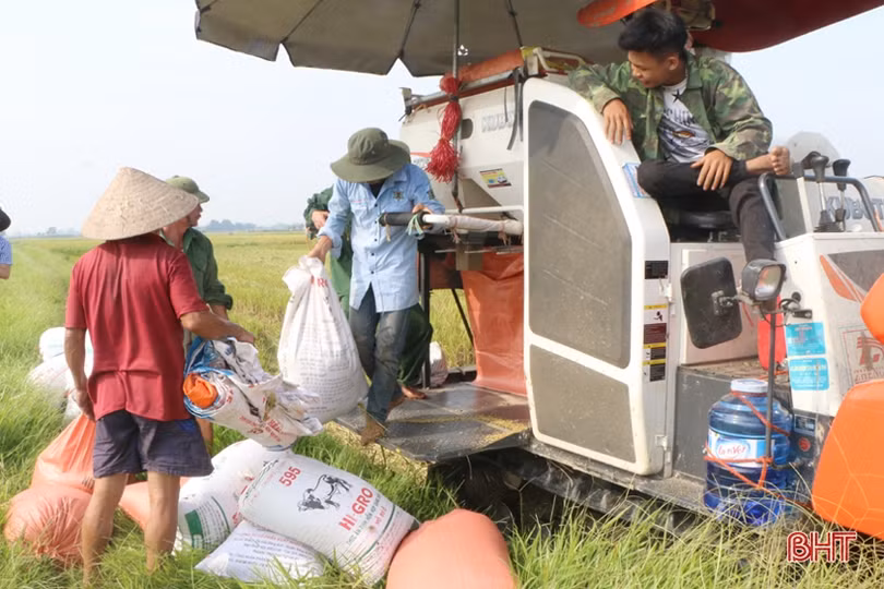 Nông dân Hà Tĩnh vào mùa gặt…