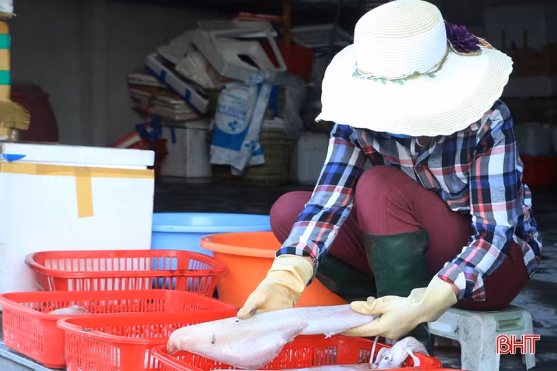 Đặc sản mực một nắng Hà Tĩnh làm “xiêu” lòng khách