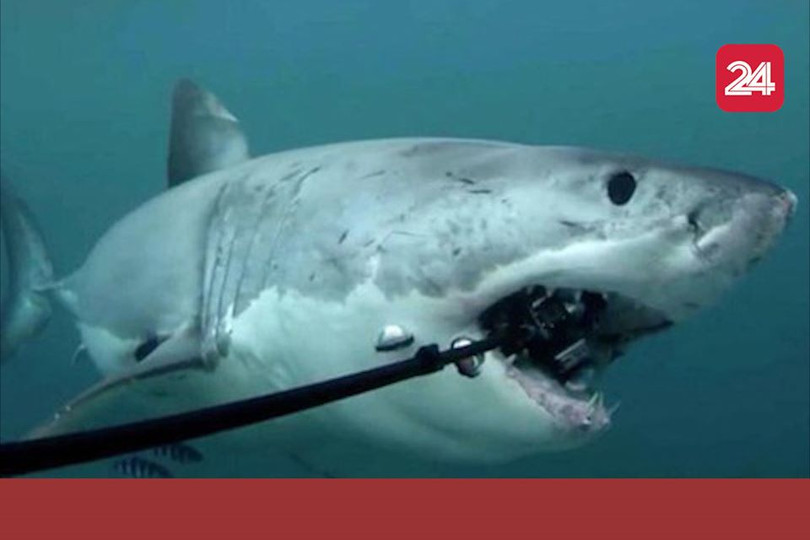 Cáp quang AAG lại gặp sự cố