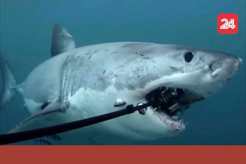 Cáp quang AAG lại gặp sự cố