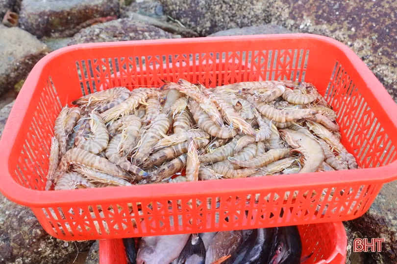 Về Hà Tĩnh “soi đèn” đi chợ cá, ngắm bình minh