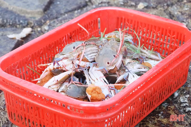 Về Hà Tĩnh “soi đèn” đi chợ cá, ngắm bình minh