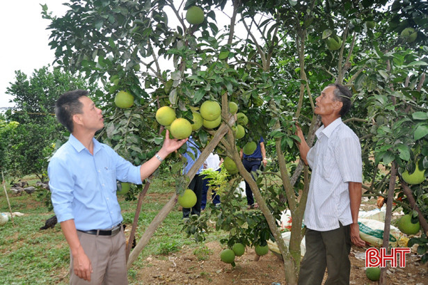 Chuyên gia gợi mở giải pháp gỡ khó, xác định chiến lược SXKD cho HTX nông nghiệp ở Hà Tĩnh