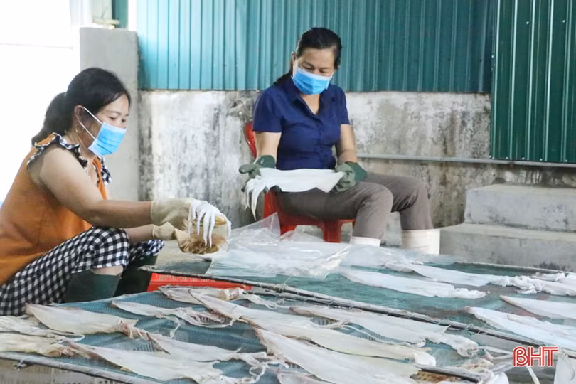 Đặc sản mực một nắng Hà Tĩnh làm “xiêu” lòng khách