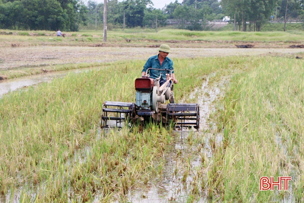 Nông dân Hà Tĩnh thu rơm, dọn ruộng, khởi động sớm vụ hè thu