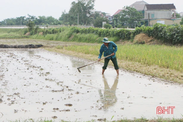 Nông dân Hà Tĩnh thu rơm, dọn ruộng, khởi động sớm vụ hè thu