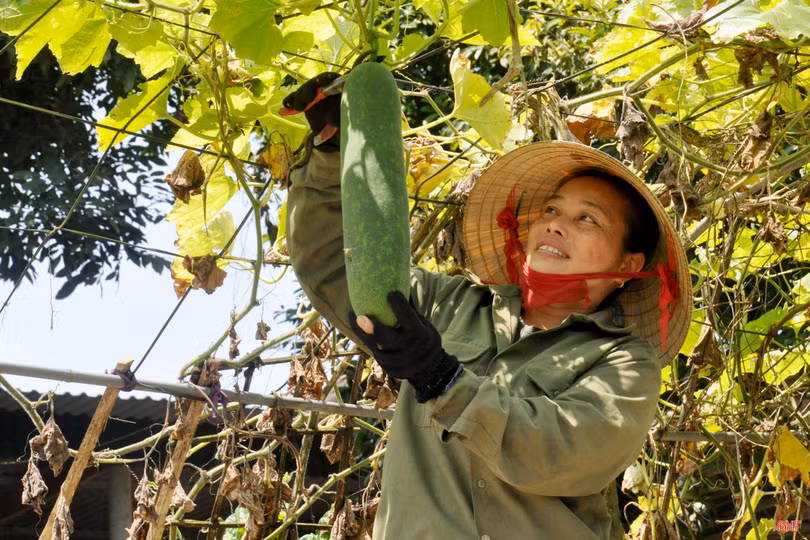 Phong trào thi đua “tiếp lửa” đại hội Đảng các cấp ở Hà Tĩnh