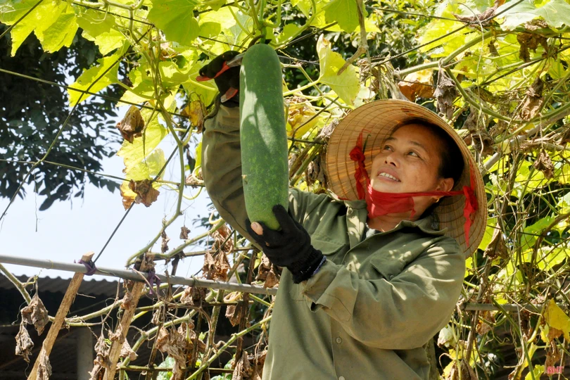 Phong trào thi đua “tiếp lửa” đại hội Đảng các cấp ở Hà Tĩnh