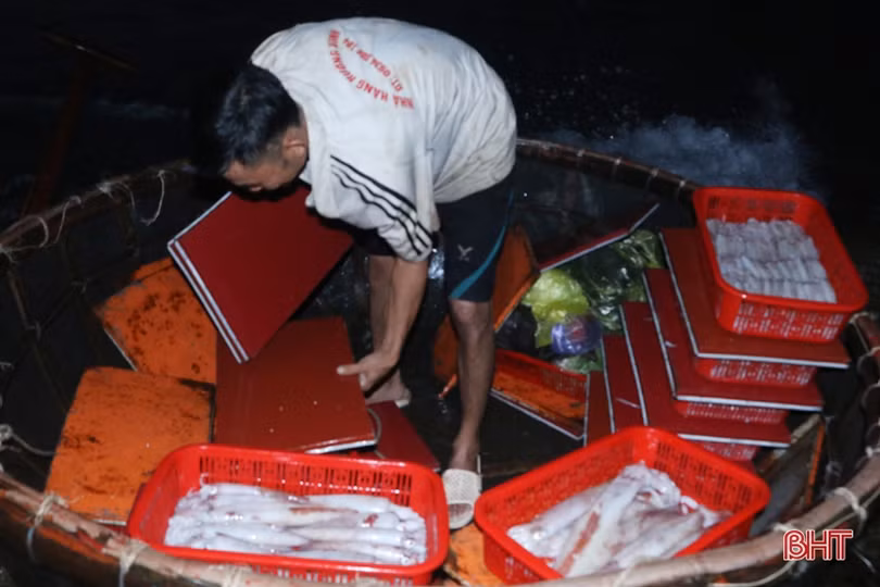 Về Hà Tĩnh “soi đèn” đi chợ cá, ngắm bình minh