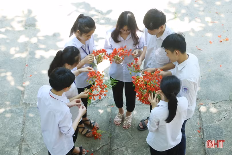 Tuổi học trò xao xuyến mùa phượng đỏ