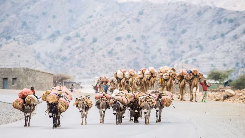 Loạt ảnh siêu thực ở nơi nóng nhất thế giới