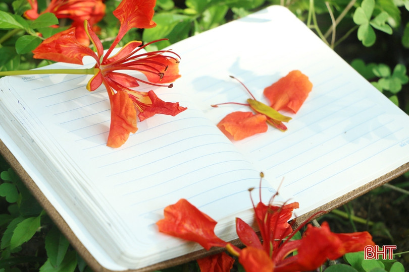 Những thiếu nữ xinh đẹp, sở hữu nụ cười tỏa nắng