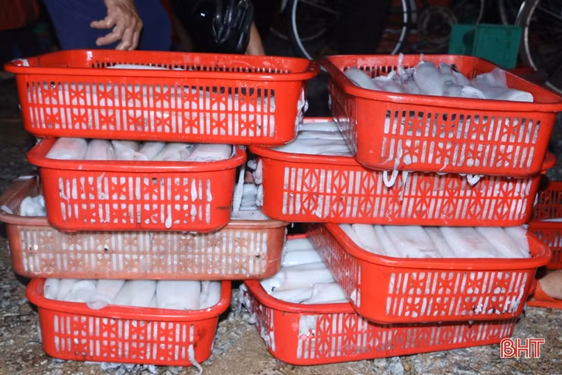 Về Hà Tĩnh “soi đèn” đi chợ cá, ngắm bình minh