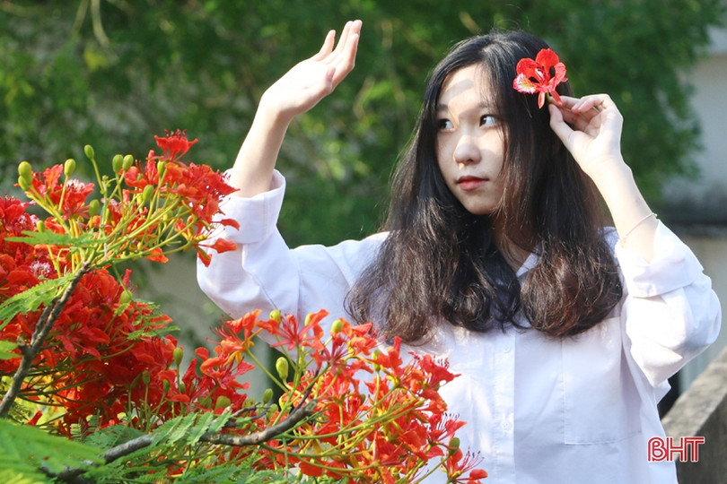 Tuổi học trò xao xuyến mùa phượng đỏ