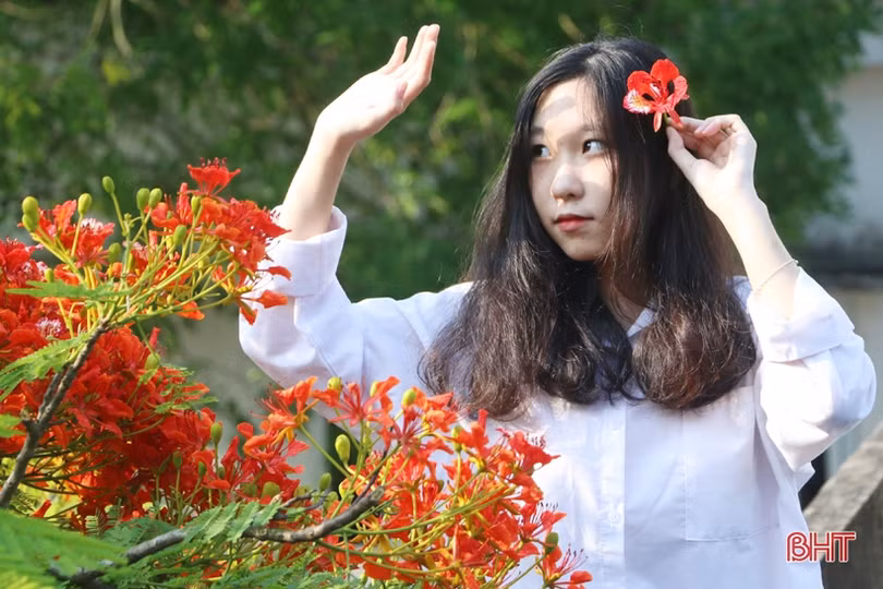 Tuổi học trò xao xuyến mùa phượng đỏ