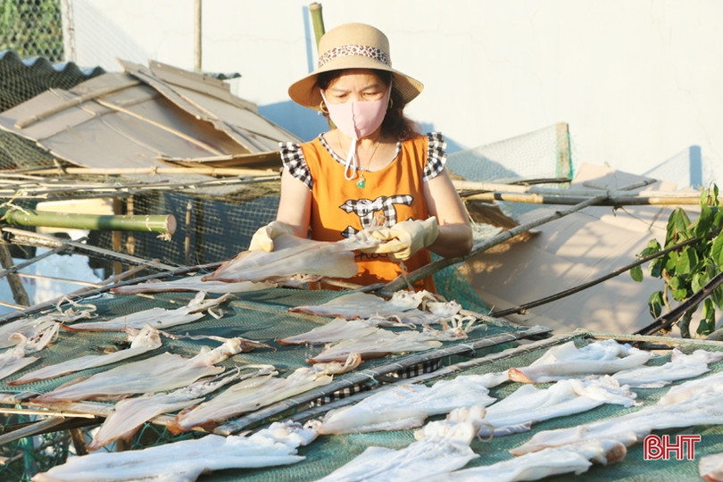 Đặc sản mực một nắng Hà Tĩnh làm “xiêu” lòng khách