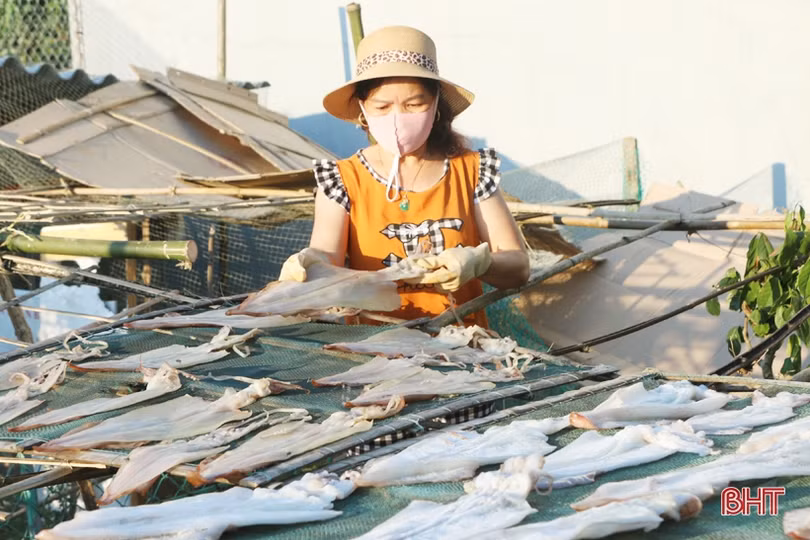 Đặc sản mực một nắng Hà Tĩnh làm “xiêu” lòng khách