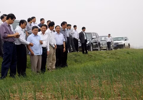 …..và kiểm tra cánh đồng sản xuất rau màu
