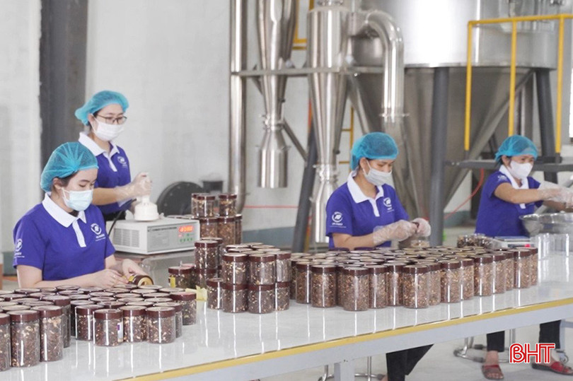 Công ty TNHH Khoa học và Công nghệ An Phát hiện có 13 sản phẩm được bán trên thị trường. 4.jpg