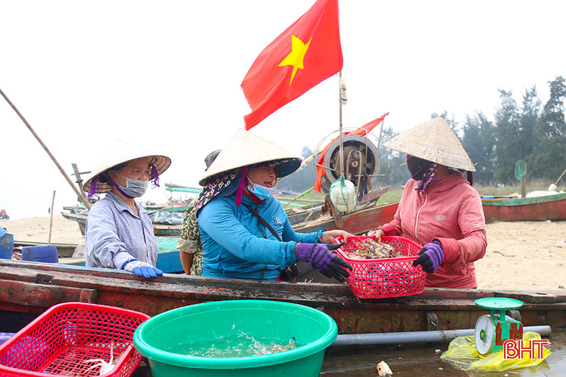 Nhiều thương lái xuống tận nơi thuyền cập bến để "gom" hải sản tươi ngon nhất. IMG_0888.jpg