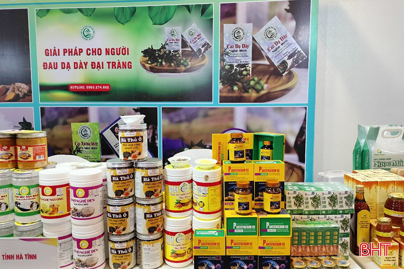 Gần 50 sản phẩm tiêu biểu của tỉnh Hà Tĩnh trưng bày tại hội chợ. 70c3aa3bb88418da4195.jpg